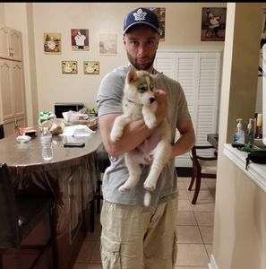 Meet your Posher, Daniel